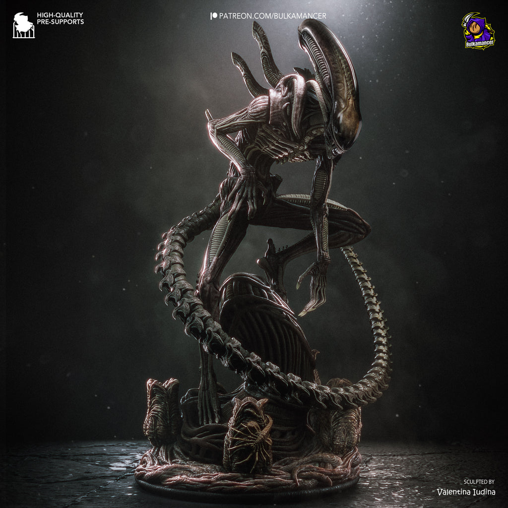Xenomorfo - Alien