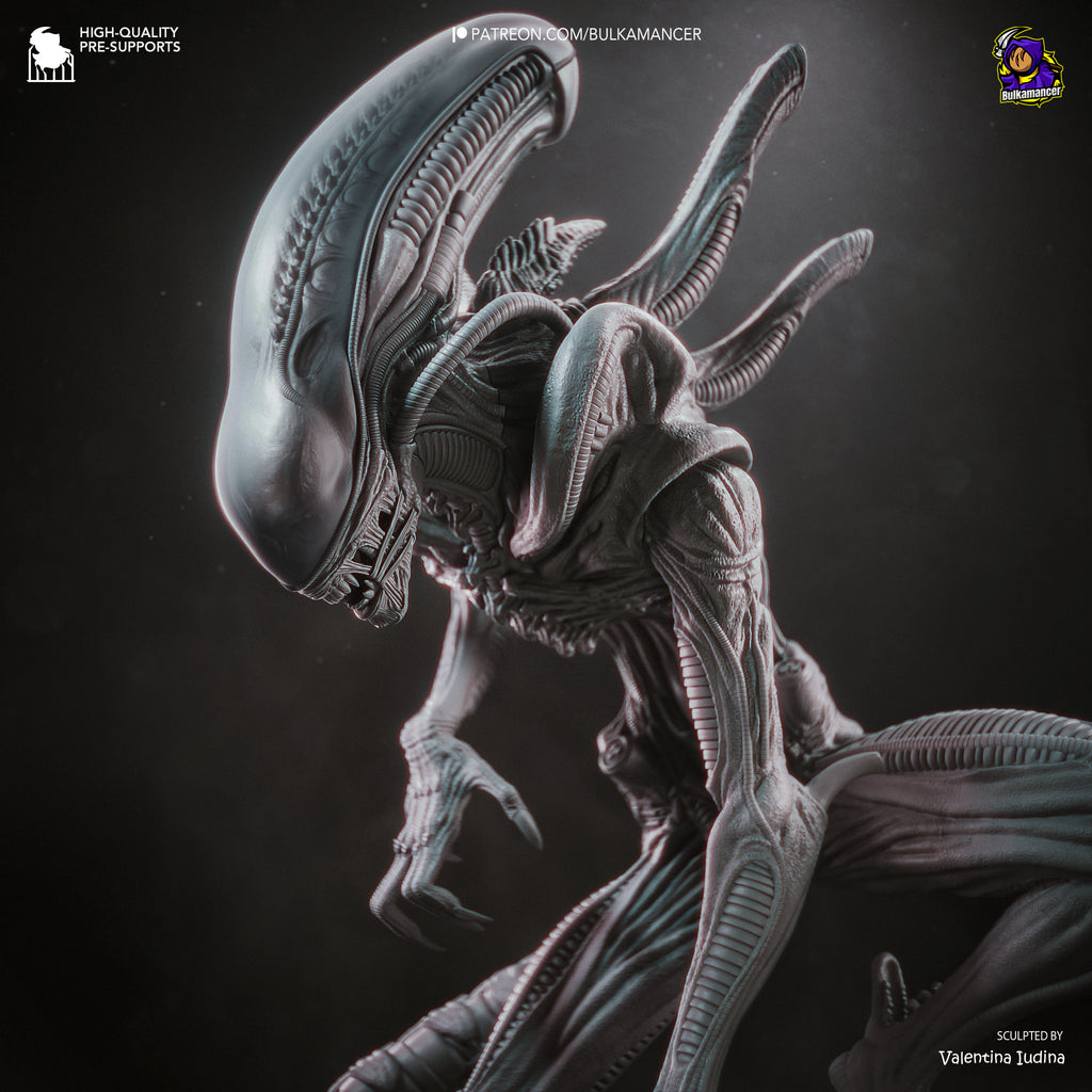 Xenomorfo - Alien