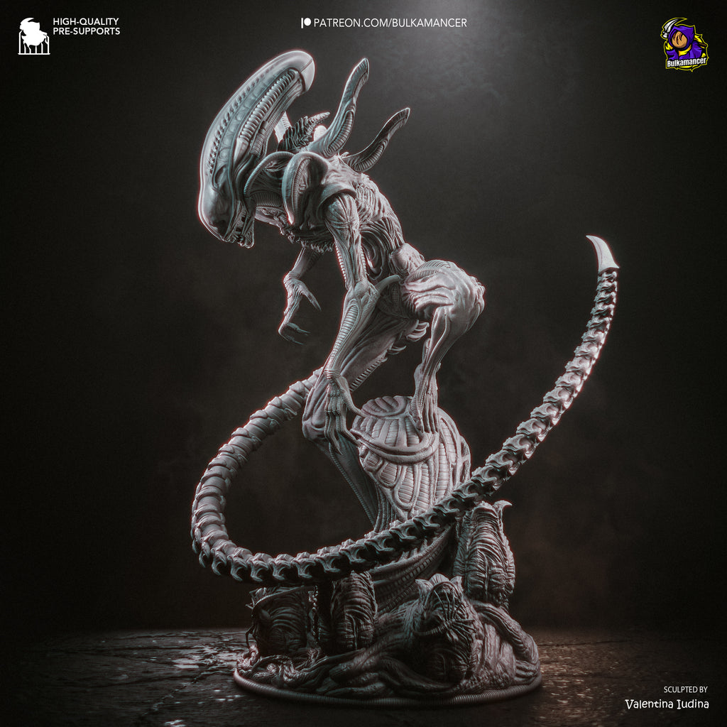 Xenomorfo - Alien